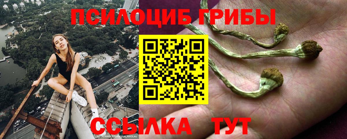 Псилоцибиновые грибы мухоморы  Вход с VPN  Псилоцибиновые грибы Psilocybine cubensis  Ульяновск 